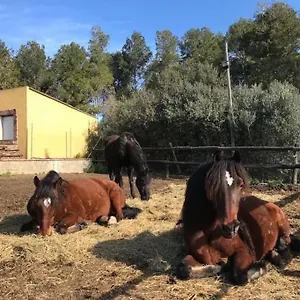 Cal Murenu Rural Apartamento
